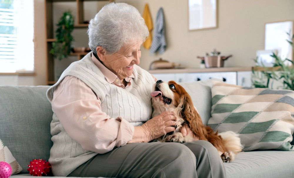 Pets in Homes Tasmania homes